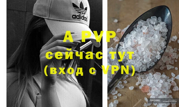 мяу мяу мука Ельня