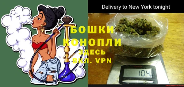 ALPHA PVP Елизово