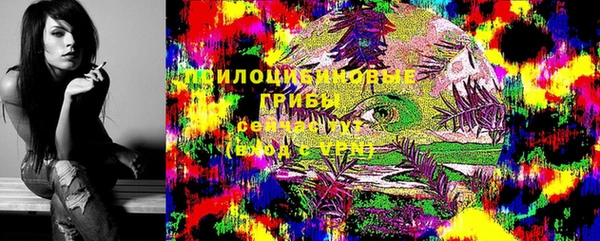 мяу мяу мука Ельня